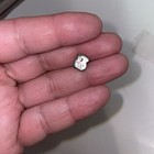  1  Silver Tous Color Earrings With Faceted Mother-of-pearl Bear Motif
