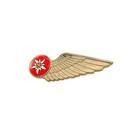 Cabin Crew Wings Edelweiss Air Airlines Logo  71mm  Wing Pin