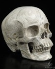 5 0  Lattice Agate Hand Carved Crystal Skull  Super Realistic  Crystal Healing