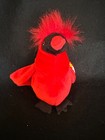 Ty Beanie Baby Mac The Cardinal   errors  Rare Collectible