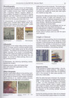 Michel 2021 German Reich 1872-1945 Ultra Hd Electronic Catalogs English Version
