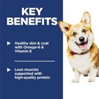 Hill s Science Diet Adult 1-6 Small Kibble  Dry Dog Food  Chicken   Barley  5 Lb