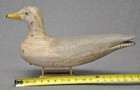 Full Size Seagull Duck Decoy  Sculpture Wood Carving Gary Crossman Snow Hill  Md