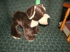 Ganz Webkinz   Mocha Pup   Dog  hm348  New unused Tags   Approximately 9 