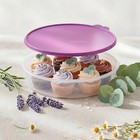 Tupperware Freezesmart    12  Round Pie   Pastry Container New
