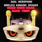 New Wireless Bluetooth Karaoke Speaker System 2 Microphone For Ktv