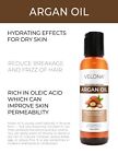 Velona Argan Oil - 2 Fl Oz   100  Pure   Natural Morocco Unrefined Cold Pressed