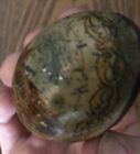1904 World   s Fair Souvenir Egg  