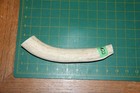 Medium Upper Elk Antler Dog Chew  22   Bone Chews Deer Elk Treats Deer 1013