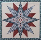Cuddle Prints By Fabri-quilt  star Quilt Pattern  cotton Fabric Panel  14 x13 5 