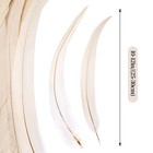 Ihufeather Natural Rooster Tail Feathers 50pcs 10-12inch 10-12inch  White