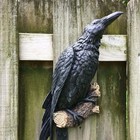 Artificial Raven Resin Statue Bird Crow Sculpture Outdoor Halloween Garden Decor