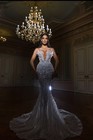 Albina Dyla Crystal Corset  Bridal Dress With Removable Long Train And Veil 