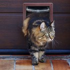 4 Way Pet Cat Puppy Dog Magnetic Lock Lockable Safe Flap Abs Door Gate Frame