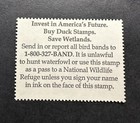 Wtdstamps -  rw76 2009 - Us Federal Duck Stamp - Mint Og Nh   well Centered  