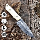 8  Custom Hand Made Forged Damascus Steel Fix Blade Hunting Skinner Knife Edc