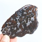 58g Natural Sericho Pallasite Olive Meteorite Slice - From Kenya F292