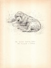 Vintage Kathleen Barker Otterhound Print Wall Art Decor 1938 Illustration 6715n