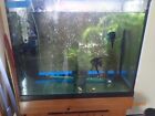 20 Gal High Aquarium