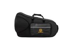 Aurosus 401l Eb Alto Horn Brass 3 Stainless Steel Valves Lacquer Student W case