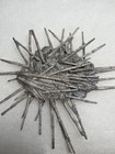 Archaeocidaris Pennsylvanian Age Sea Urchin With Spines From Brownwood  Tx