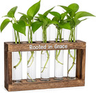 Rooted In Grace Plant Propagation Station     Wooden Stand With 5 Glass Vases     