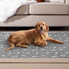 Reusable Dog Pee Pads 36 X 41 - Washable Waterproof Puppy Training Mats - 2 Pack