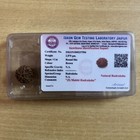 Lab Certified 5 Mukhi Rudraksha Panchmukhi Rudraksh 5 Face Rudraksham 1 Piece