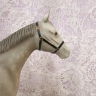 Breyer The Racehorse Special Release 1997 Just About Horses Dapple Gray