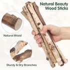 6pcs Wood Log Sticks  12     Natural Birch Logs Twigs Craft Sticks Unfinished W   