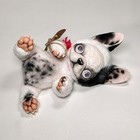 Ooak French Bulldog Charlie Gakman Creatures Handmade Art Doll Artist Plush Dog 