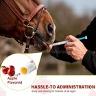 100 Pack New Paste Wormer Horse Dewormer Apple Flavor Us Free Shippingexp 1 2028