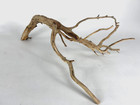 Large Driftwood Manzanita 24  Aquascape Aquarium Terrarium Reptile Home Decor