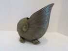 Mcm Nautilus Sea Shell Heavy Brass Flower Pot Planter Approx 7  A2