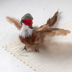12  Flying Feathered Artificial Pheasant For Indoor Decor