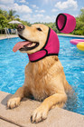 No Flap Dog Ear Muffs For Grooming Bathing Loud Noise Reduction   Anxiety Relief