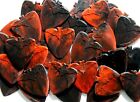 12 Pk Bloody Bat Guitar Picks With Tin   88mm Grip By Pick Guy Pics Plectrums 