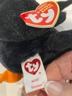 Ty Halloween Beanie Baby Owl Hootsey   Nwmt   Free Shipping    