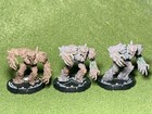 Mage Knight 2 0 Elemental Freeholds  022-024 Oak Warrior Miniature Collector Set