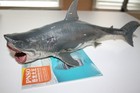 Pnso Patton The Megalodon Dinosaur Statue Model Toy