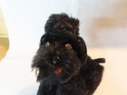Vintage Steiff Snobby Poodle Plush Dog