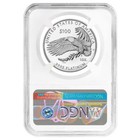 2023-w Proof  100 American Platinum Eagle Freedom Of Press Ngc Pf70uc Fdi Fir   