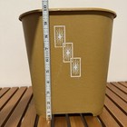 Vtg Mcm Atomic Starburst Plastic Wastebasket trashcan