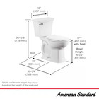 Rumson 2-piece 1 28 Gpf Single Flush Elongated Toilet In White Seat Is Included