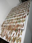 Vintage Cigar Bands 300  12 Cigarette Labels tin Bryant   May s Royal Wax Vestas