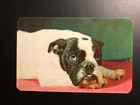 Old Vintage   English Bulldog   Postcard  Made In Usa