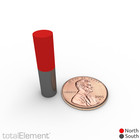 1 4 X 1 Inch Neodymium Rare Earth Cylinder rod Magnets N52  14 Pack 