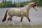 Peter Stone Dah Pony Superb Strawberry Roan With Braided Mane tail And Blue Eyes