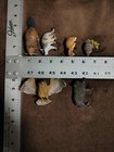 Lot 6 Schleich Eagle Owl Boar Raccoon Hedgehog Safari Ltd Beaver Mojo Rabbit