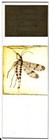 Antique Microscope Slide By Norman - Whole Female Scorpion Fly